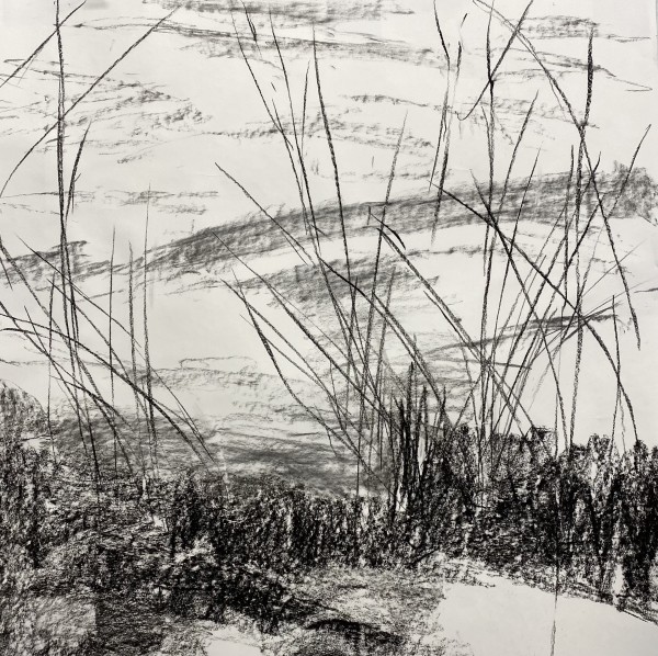 2178, Juanita Bellavance, Sketch 19, From the Chestatee River portfolio, 2021, Charkole on paper, 24 x 24 inches