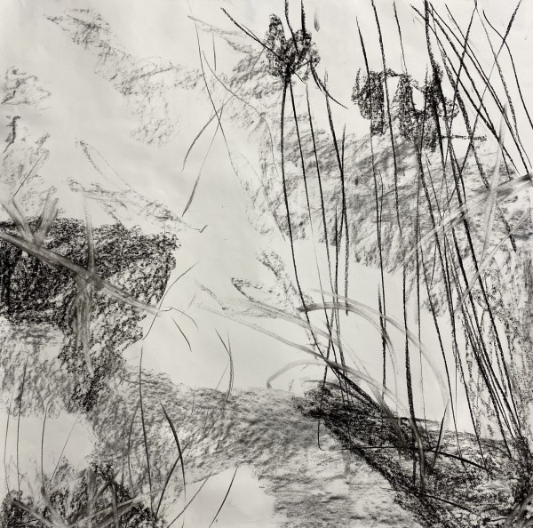 2179, Juanita Bellavance, Sketch 21, From the Chestatee River portfolio, 2021, Charkole on paper, 24 x 24 inches