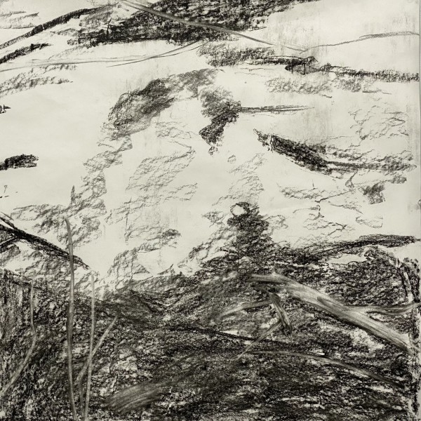 2180, Juanita Bellavance, Sketch 24, From the Chestatee River portfolio, 2021, Charkole on paper, 24 x 24 inches