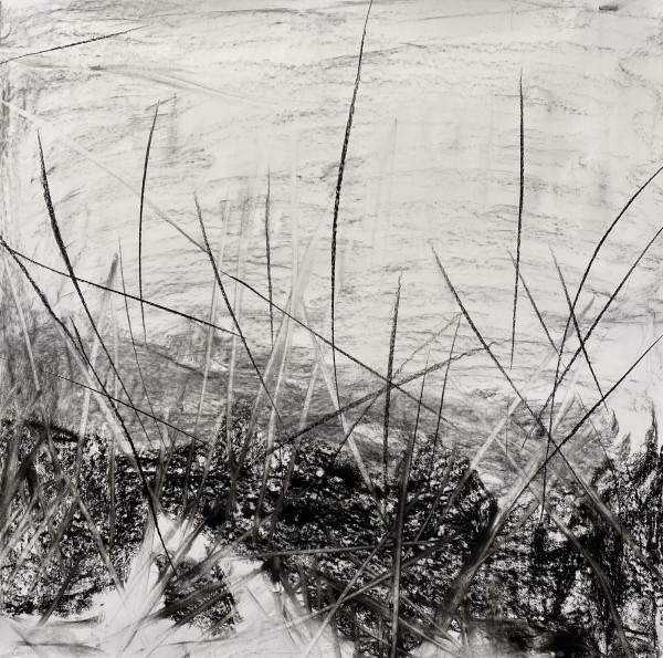 2182, Juanita Bellavance, Sketch15, From the Chestatee River Perspective, 2021, Charkole on paper, 24 x 24 inches