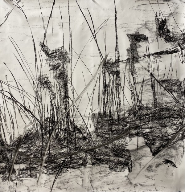 2184, Juanita Bellavance, Sketch23, From the Chestatee River Perspective, 2021, Charkole on paper, 24 x 24 inches