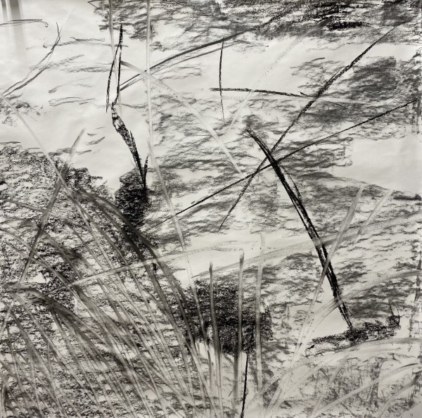 2185, Juanita Bellavance, Sketch25, From the Chestatee River Perspective, 2021, Charkole on paper, 24 x 24 inches