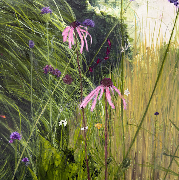 Grace in the Wild by Juanita