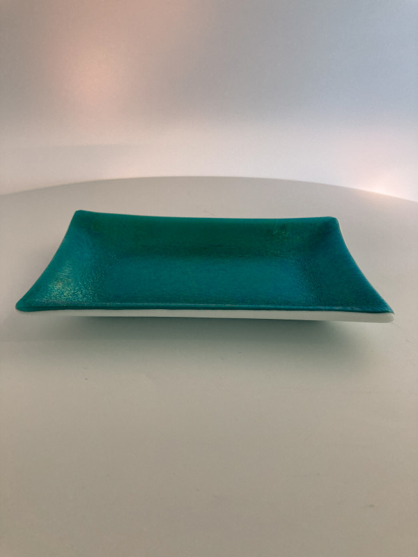 Small Dish #171 by Shayna Heller