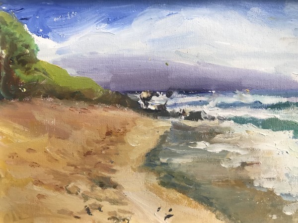 Ho'okipa Beach by Lucia Gonnella