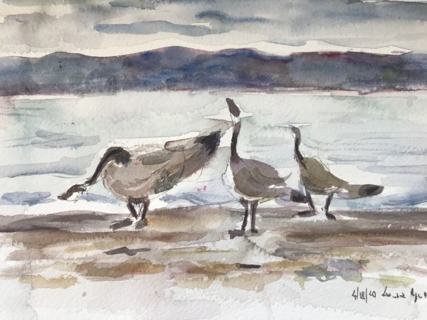Geese on alameda Beach