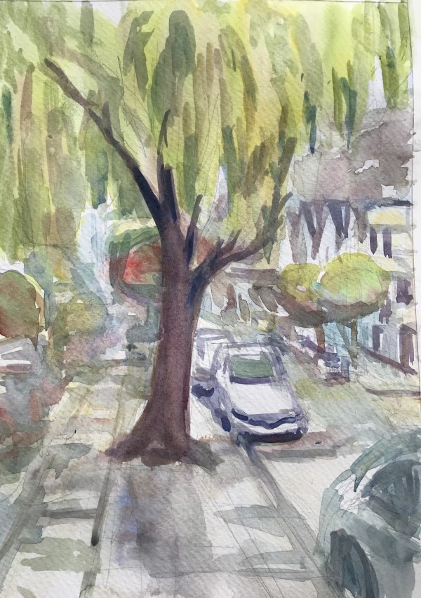 Day 27-Willow tree on Diamond Street