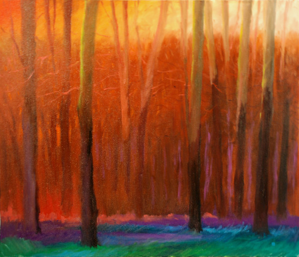 The Woods Series, Sunset and Shadow by Gregory Blue