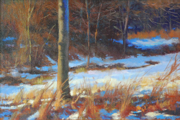 Stroud Preserve, Winter by Gregory Blue