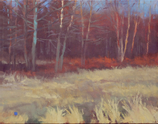 Winter, Late Afternoon, Study, Stroud Series by Gregory Blue