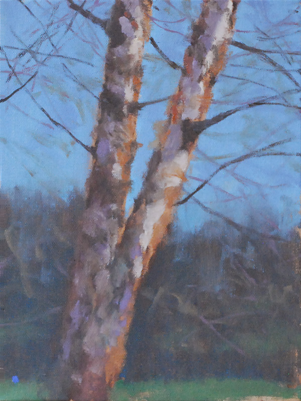 Jack River Birch, Double Leader, Study, Stroud Series by Gregory Blue