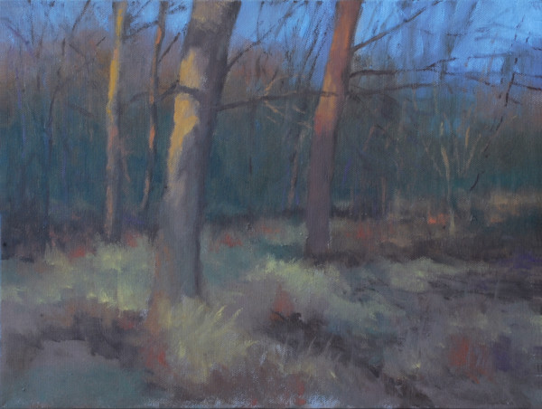 Evening Light Wooded Stand by Gregory Blue