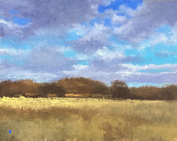 Early Spring Sky, Stroud Series by Gregory Blue
