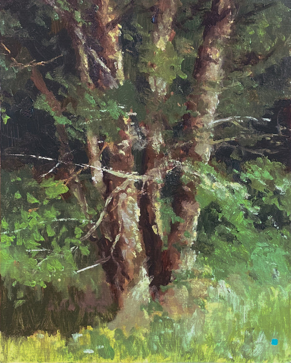 River Birch Study, Stroud Series by Gregory Blue