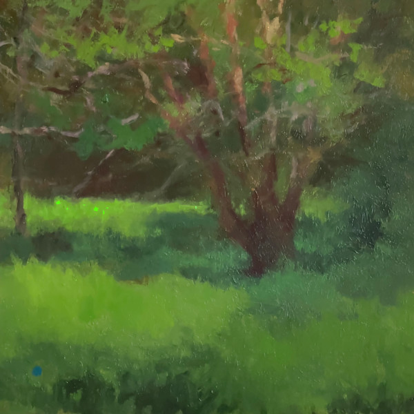Soft Light and Shadows, Study by Gregory Blue, Image 1.