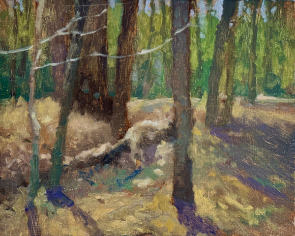 Cape Cod Woods Study by Gregory Blue, Image 1.