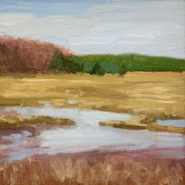 Audubon Sanctuary, Wllfleet, Cape Cod by Gregory Blue, Image 1.
