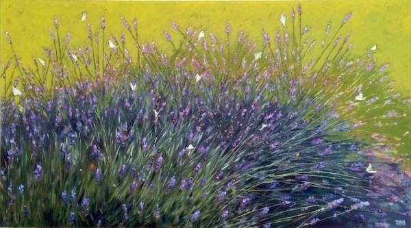 August Lavender by Lisa Timmerman