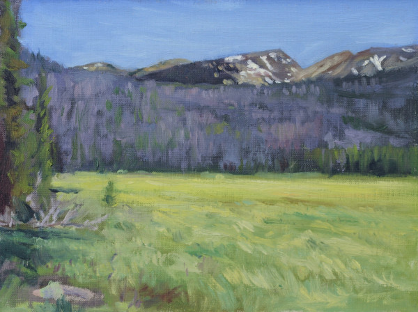 Pasture at Rocky Mountain N.P. by Matthew Lee