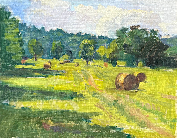 A Farmer's hayfield in Marcella, AR by Matthew Lee, Image 4.