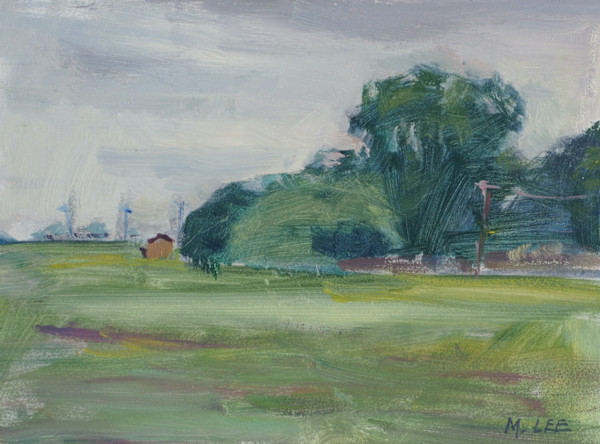 Hazy Morning Light by Matthew Lee