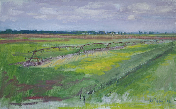 Painting from the Levee- Irrigation Lines and Cotton by Matthew Lee