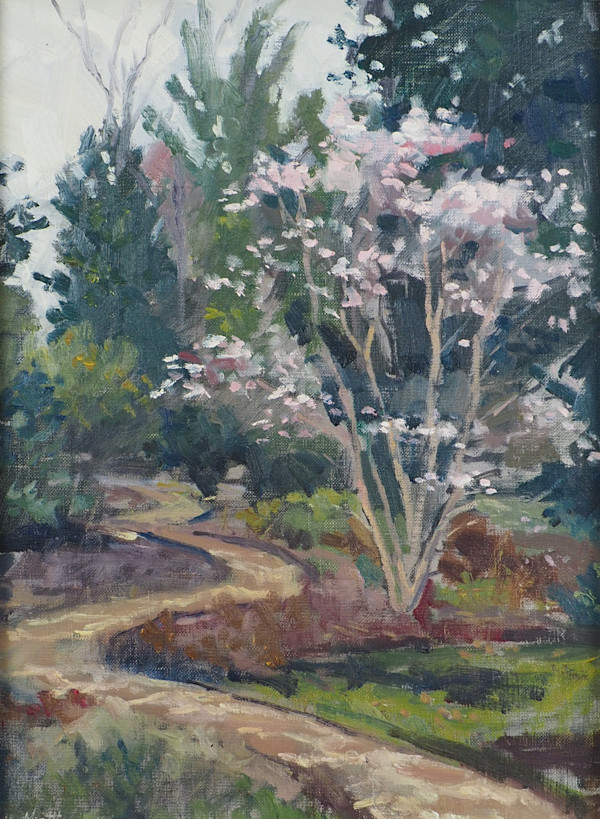 Path in Early Spring at the Botanic Gardens by Matthew Lee, Image 3.