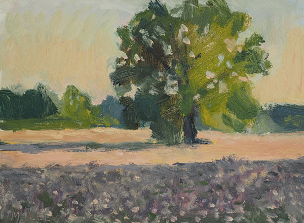 Late Light on the Cotton Fields by Matthew Lee