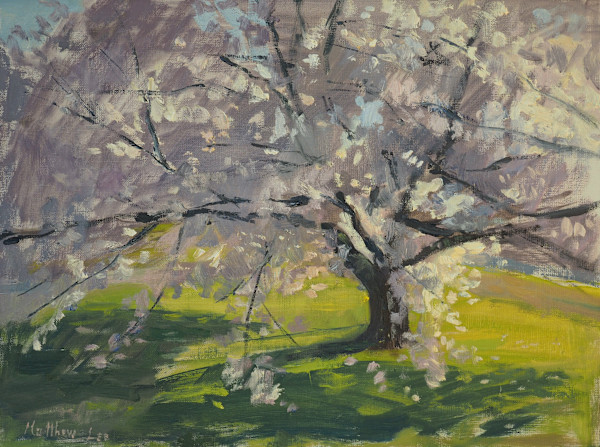 Cherry Rd 2 by Matthew Lee