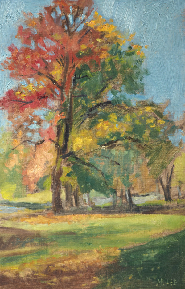 Overton Park Sweet Gum in Fall by Matthew Lee