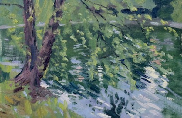 River Birch along Chickasaw Gardens Lake by Matthew Lee