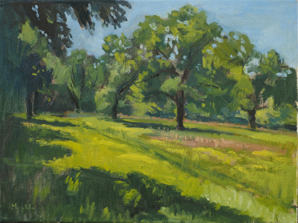 Pecan Grove in Summer, Clinton, MS by Matthew Lee