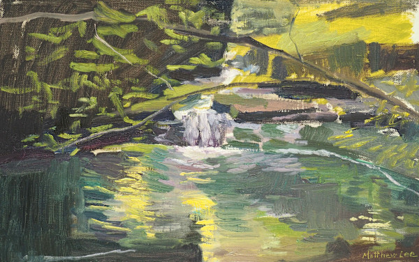 Serene waterfall below Pack Rat Falls, AR by Matthew Lee, Image 3.