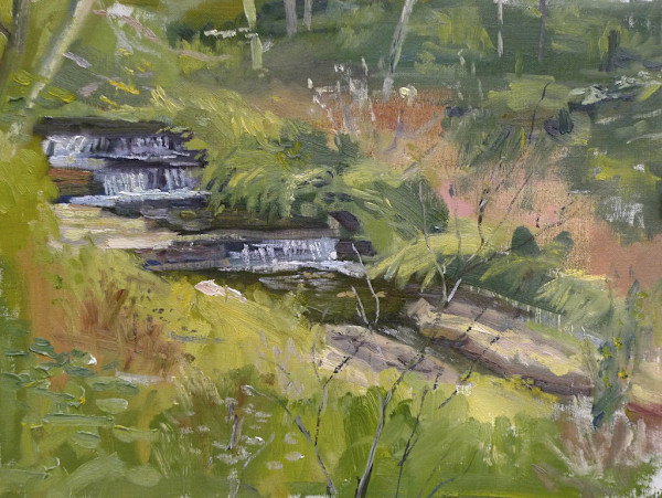 Radnor Lake Spillway by Matthew Lee