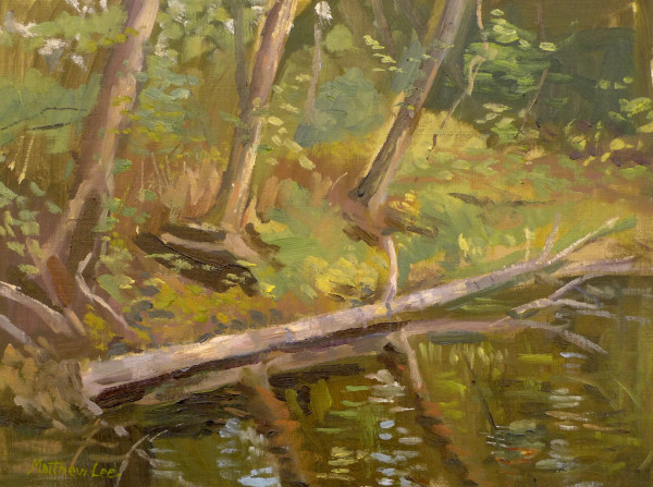 Creek along the Natchez Trace by Matthew Lee