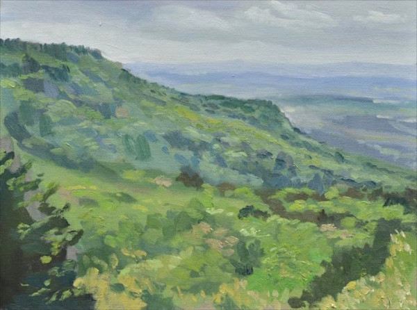 Windy day at Mount Nebo, Arkansas by Matthew Lee