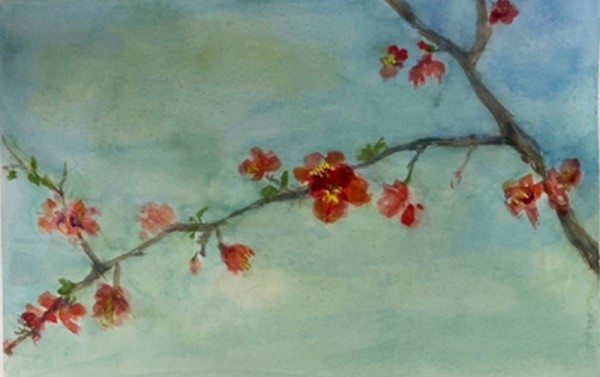 13 Flowering Quince by J. Ward