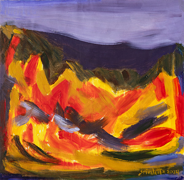 Incendio en las Sierras by Stivaletta, Mabel Rosario