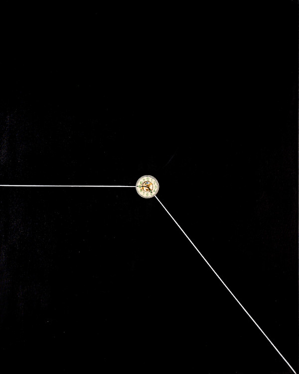 _MG_0694_ymku6o_11 by Stivaletta, Mabel Rosario