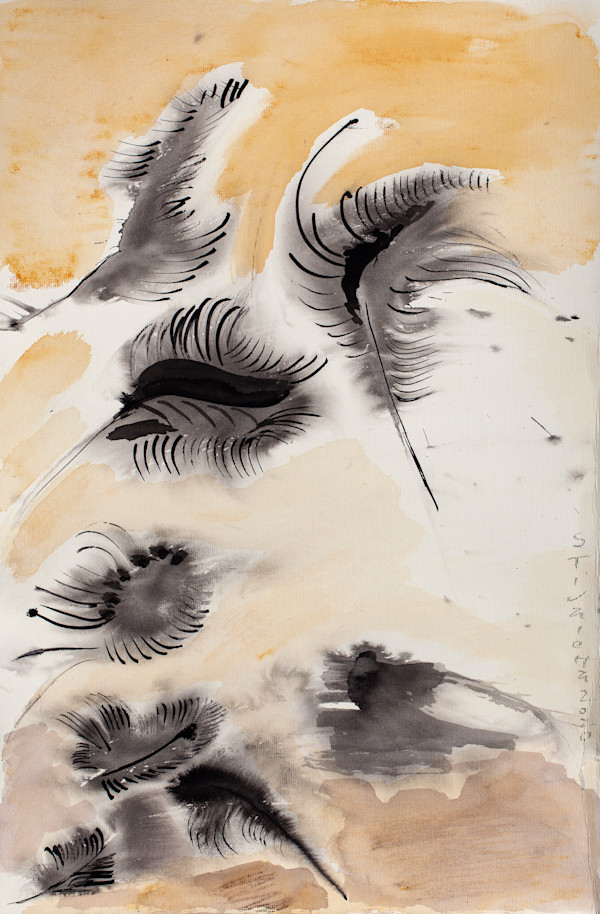 Plumas by Stivaletta, Mabel Rosario