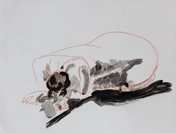 Modelo by Stivaletta, Mabel Rosario