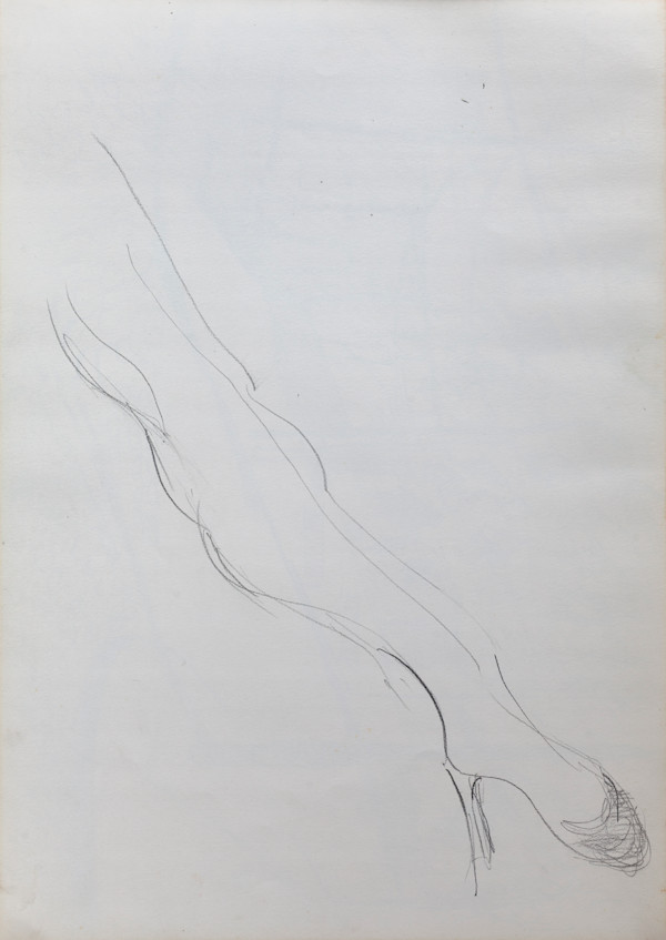 Estudio de pierna by Stivaletta, Mabel Rosario