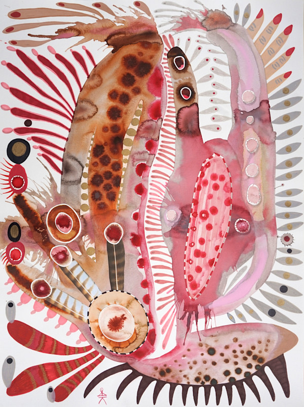 Pink Hawk Flower Rhizome by Krisanne Souter
