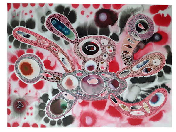 Anima Mundi - Mallard by Krisanne Souter