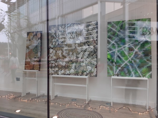 7) Window display at Eden shopping centre by Robin Eckardt