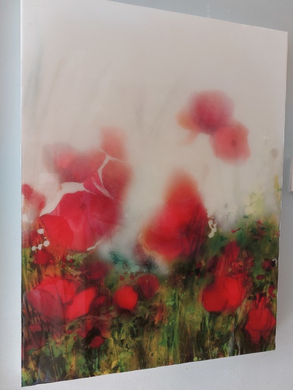 8) Poppy haze by Robin Eckardt