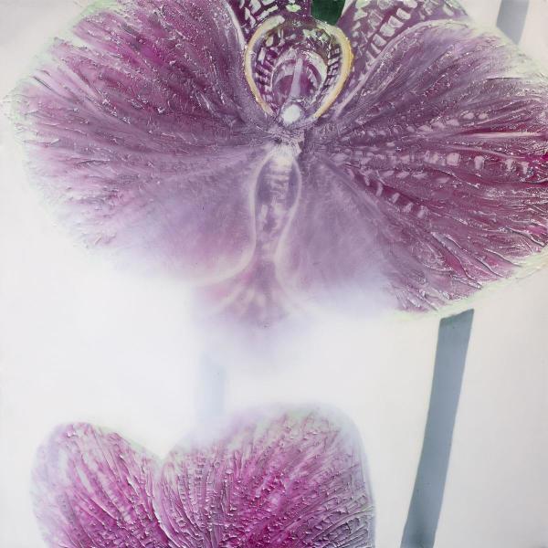 Orchids In Bloom - Original by Robin Eckardt