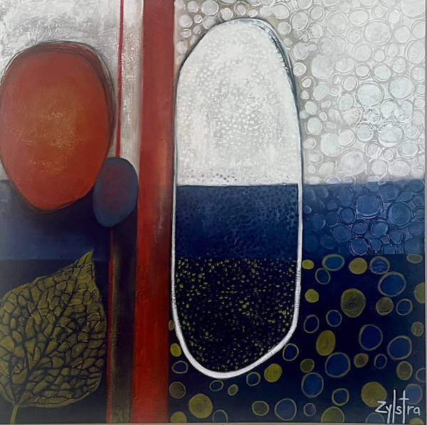 The Order of Chaos by Febe Zylstra