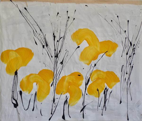 Daffodils 5