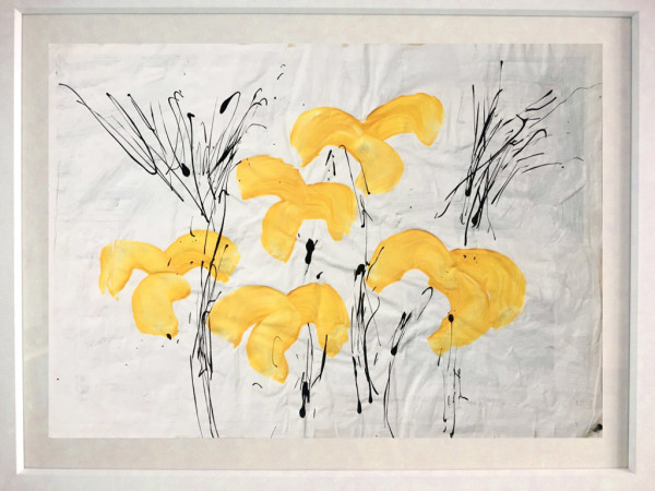 Daffodils 167